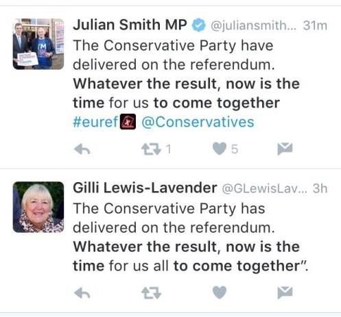 Conservative MPs come together EU referendum