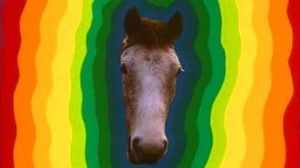 father-ted-my-lovely-horse